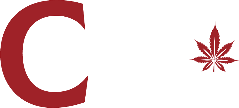CannaFolks: Leading Cannabis SEO Agency